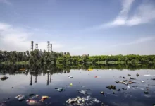 Rangkuman Biologi Kelas 10 Bab 6 Perubahan Lingkungan Pencemaran – Kurikulum Merdeka